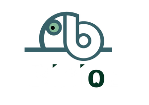 Binioz